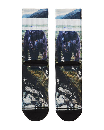 Load image into Gallery viewer, Black Panther