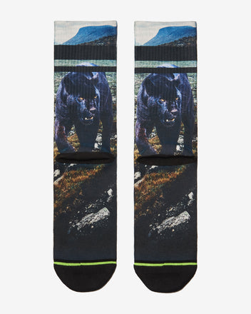 Load image into Gallery viewer, FLINCK sokken black panther crossfit sports socks men women back